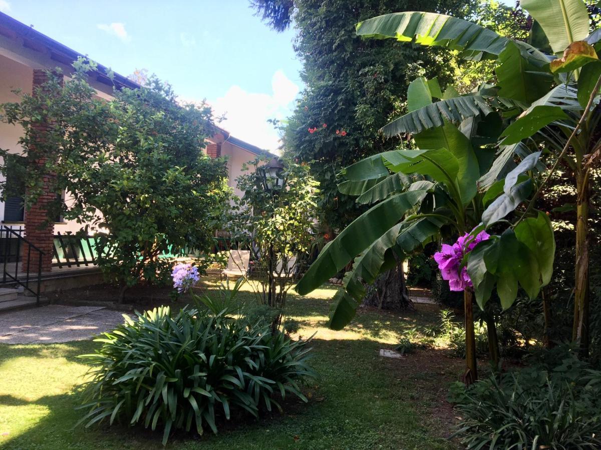 Casa Vacanze Gabbianella Villa Con Giardino Lungolago Maderno Toscolano Maderno Exteriör bild
